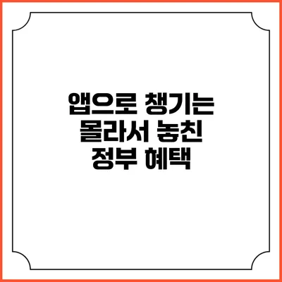 앱으로 챙기는 몰라서 놓친 정부 혜택