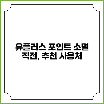 유플러스 포인트 소멸 직전, 추천 사용처