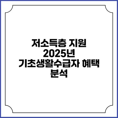 저소득층 지원 2025년 기초생활수급자 혜택 분석