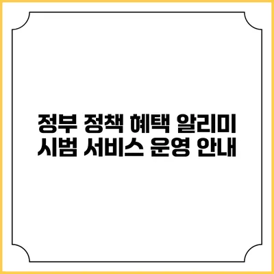 정부 정책 혜택 알리미 시범 서비스 운영 안내