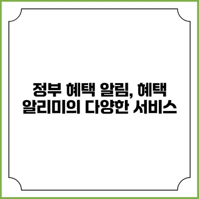 정부 혜택 알림, 혜택 알리미의 다양한 서비스