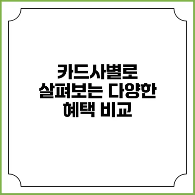카드사별로 살펴보는 다양한 혜택 비교