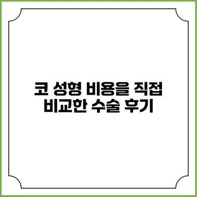 코 성형 비용을 직접 비교한 수술 후기