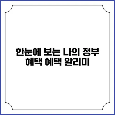 한눈에 보는 나의 정부 혜택 혜택 알리미