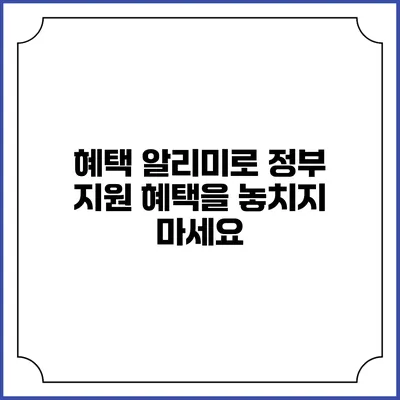 혜택 알리미로 정부 지원 혜택을 놓치지 마세요