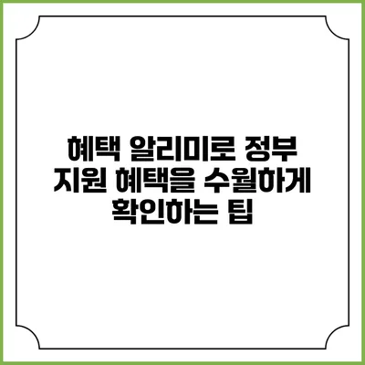 혜택 알리미로 정부 지원 혜택을 수월하게 확인하는 팁