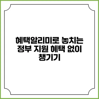 혜택알리미로 놓치는 정부 지원 혜택 없이 챙기기
