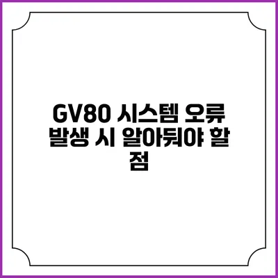 GV80 시스템 오류 발생 시 알아둬야 할 점