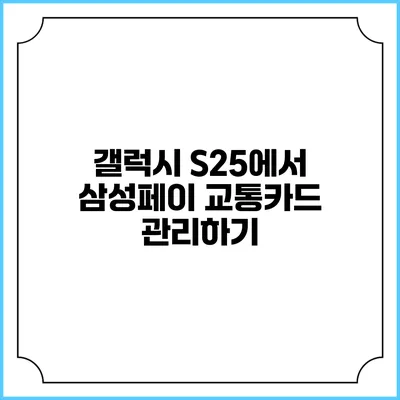 갤럭시 S25에서 삼성페이 교통카드 관리하기
