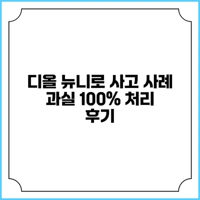 디올 뉴니로 사고 사례 과실 100% 처리 후기