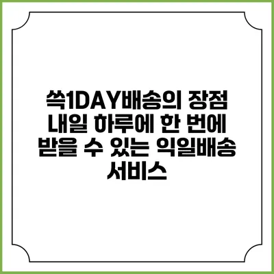 쓱1DAY배송의 장점 내일 하루에 한 번에 받을 수 있는 익일배송 서비스