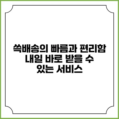 쓱배송의 빠름과 편리함 내일 바로 받을 수 있는 서비스