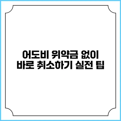 어도비 위약금 없이 바로 취소하기 실전 팁