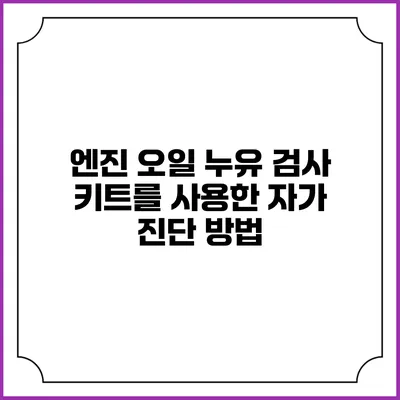 엔진 오일 누유 검사 키트를 사용한 자가 진단 방법