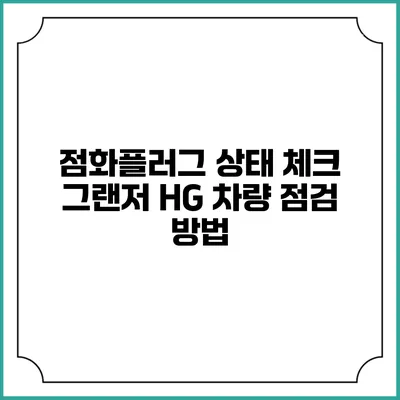 점화플러그 상태 체크 그랜저 HG 차량 점검 방법