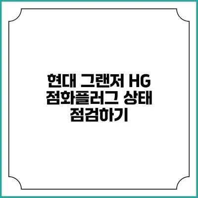 현대 그랜저 HG 점화플러그 상태 점검하기